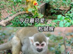 -广州动物园