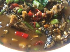 -李东农庄(中南百草园地标店)