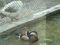 -青藏高原野生动物园