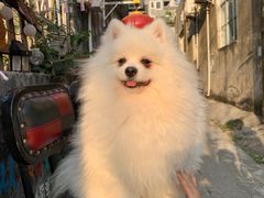 -三溪村