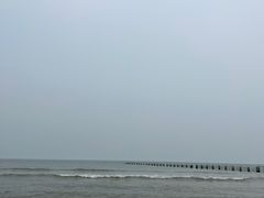 -日照海滨国家森林公园