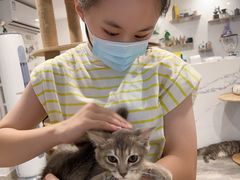 -楼上猫咖(罗湖店)