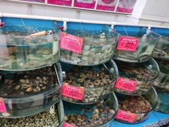 -叶存利海鲜大馅饺子(海宁路总店)