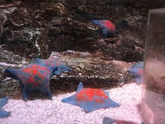 -沈阳海洋探索中心