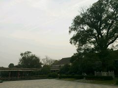 -八大山人梅湖景区