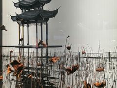 -外婆家(西红门荟聚购物中心店)