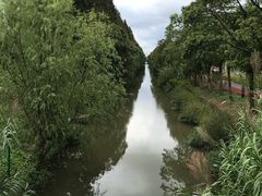 -上海长兴岛郊野公园