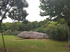 -吴淞炮台湾湿地森林公园烧烤区