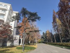 -上海虹桥迎宾馆