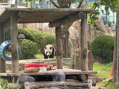 -大连森林动物园