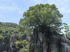 -玉石林风景区