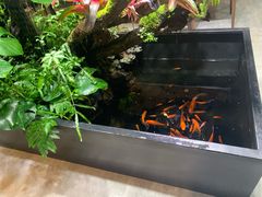 -森味薪火烧•烧鸟居酒屋•日本料理(望京店)