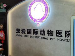 -宠爱国际动物医院·疑难骨科·心肾内科·皮肤科(太阳宫店)