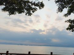 -七鲜渔港美食餐厅(巽寮湾海景店)