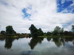 -会仙湿地