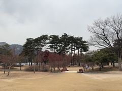 -景福宫