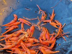 -聚味瞿记·龙虾堂(树木岭店)