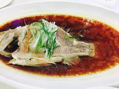 -新苑酒家(嘉宾路店)