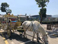 -福州罗源湾海洋世界旅游区