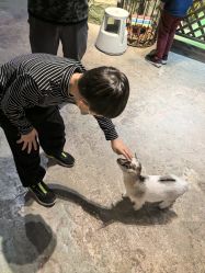 -酷嗒动物文化乐园(cutezoo西溪乐天城店)