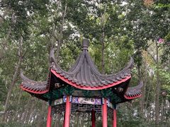-仁和公园(顺义区)