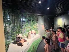 -深圳博物馆历史民俗馆