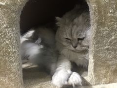 -小时光咖啡馆(开森度假森林店)
