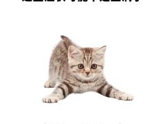 -爱侣宠医·鹦鹉专科·小型哺乳类·异宠专科(灵石路店)