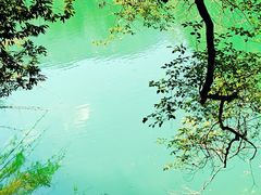 -广州市流溪河国家森林公园