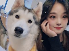 -Husky Go! 哈士奇体验馆·宠物咖啡厅狗咖