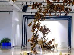 景观位-桉树林A coffee 森林餐厅(三圣乡店)