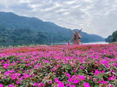 -广州市石门国家森林公园