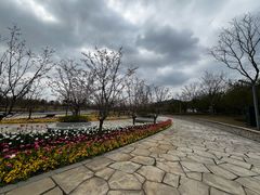 -苏州上方山国家森林公园