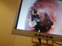 -乐老大耳道·可视采耳·禅洗(柏林爱乐直营店)