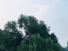 -济南大明湖景区
