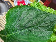 -小米烤肉·和牛原切-创意韩料(东关店)