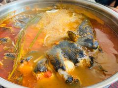 -弘烨 贵州酸汤 鱼火锅(东财店)