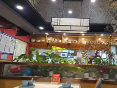 -洞庭家宴·头牌甲鱼(广渠门店)
