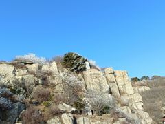 -泰山风景名胜区