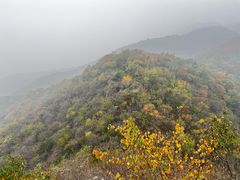-北京鹫峰国家森林公园