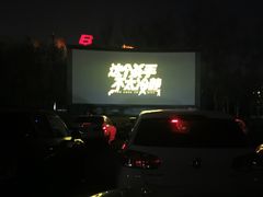 -枫花园汽车电影院(朝阳公园店)