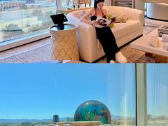 -拉斯维加斯永利酒店