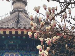 -大钟寺古钟博物馆