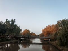 -东湖公园