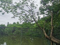 -木守西溪溪隐餐厅