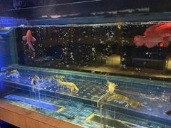 -新荣记(建国门外大街店)