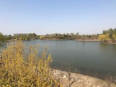 -东郊湿地公园