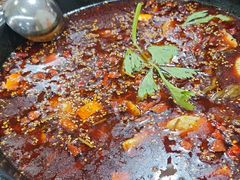 -云溪河冷锅鱼(成都玉林小吃街店)