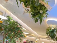 -Aqua Oasis 水天堂(太湖中心mall店)