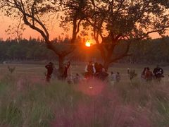 -艾溪湖湿地公园